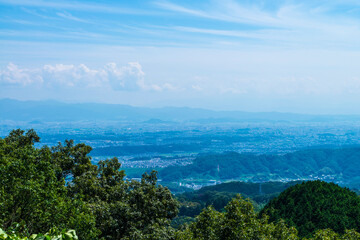 葡萄畑と奈良盆地