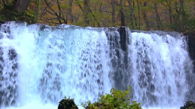 秋の奥入瀬渓流・銚子大滝（青森県・十和田市）