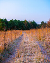 Morning with a frozen road near the forest