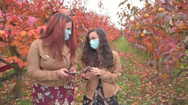 
Two girls in a field during Autumn season with reed trees and leaves using smartphones smiling and talking. Protective face mask during coronavirus pandemic.