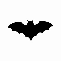 Fototapeta premium bat and bats