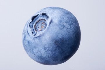 Single blueberry or huckleberry on white background