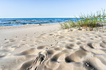 Baltic coast in Poland, West Pomerania. Sandy dunes with birds traces