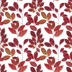 Seamless bright pattern consist of scanned leaves on white. Useful for textile and autumn backgrounds.
