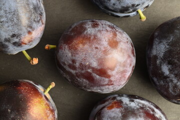 Ripe dark blue organic plums on a slate board, close-up.