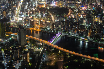 Fototapeta na wymiar Vue depuis les hauts d'une tour de Tokyo de nuit