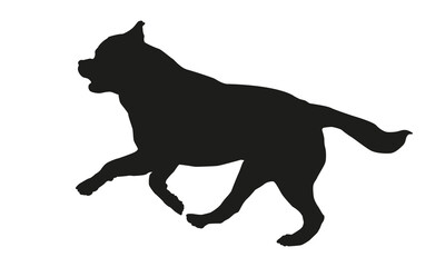 Black dog silhouette. Running rottweiler puppy. Isolated on a white background.