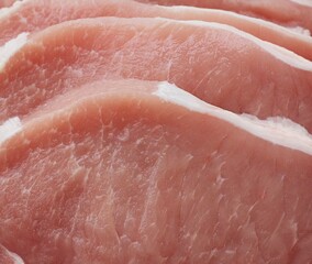 Fresh escalope of pork close up view