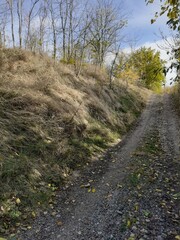 road uphill, the road goes uphill, mountain, forest, road