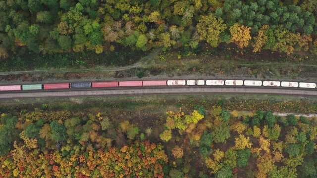 Top aerial view of a freight train moving through a beautiful autumn forest.