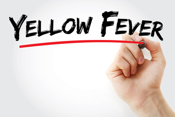 Yellow Fever text with marker