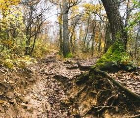 Autumn in Buda Hills over Budapest 
