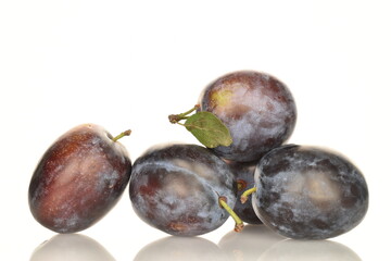 Ripe dark blue organic plums, close-up, on a white background.