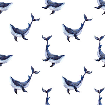 Seamless watercolor pattern with whales on a white background. Watercolor illustration with a whale for fabrics, clothing, postcards, packaging paper. Nautical theme.
