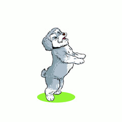  cute gray dog standing vector