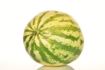 One ripe striped organic watermelon, close-up, isolated on white.