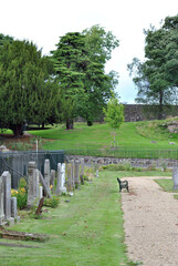 Landscape View of Path Through Deserted Cemetery with Bench & Trees  