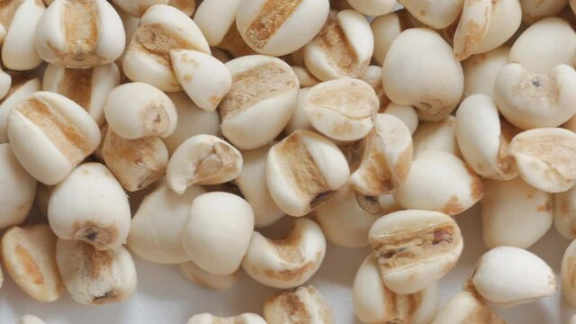 Top view of Job's tears, Adlay millet or pearl millet, Healthy food rotation.