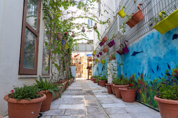 Beautiful street with decorative plants and flowers on the wall of a house, Bodrum, Turkey.