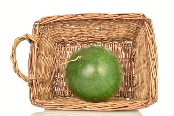 Ripe organic watermelon, close-up, with a basket of vine, white background.