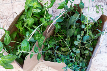 Paper bags with fresh spices herbs: basil and savory. Harvest.
