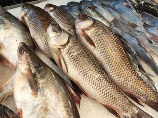 SEREMBAN, MALAYSIA -JANUARY 20, 2020: Various types of fish in the fish market are displayed for sale. Separated according to species and neatly arranged on ice.