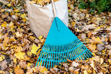 a green yard rake leaning against a yard waste bag full of leaves