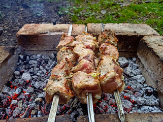 skewers to fry on skewers