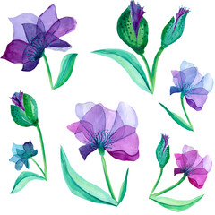 Purple flowers watercolor seamless pattern. For prints, invitations, textiles, calendars, posters.