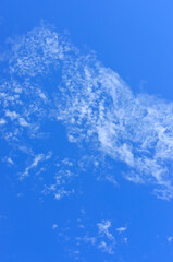 Fototapeta na wymiar 秋の雲