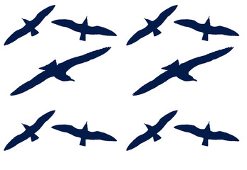 Blue seagulls isolated on white, seamless pattern, vector isolated