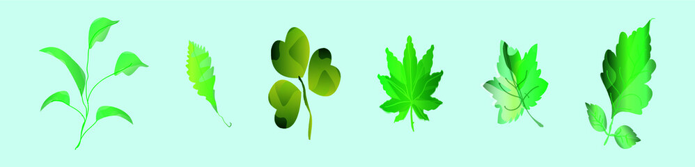 set of leaves logo cartoon icon design template with various models. vector illustration isolated on blue background