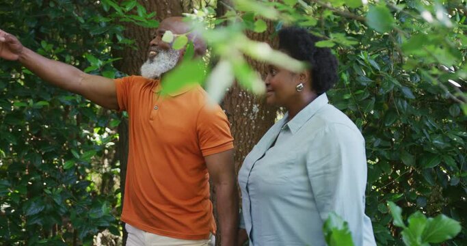 African american senior couple holding hands walking together in the garden