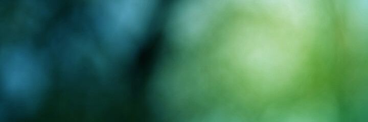 Green light leaves blurred and blur natural abstract. Effect sunlight  soft bright shiny style  bokeh circle yellow and orange blurry morning . For wallpaper backdrop and background.
