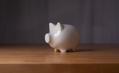 investment white money box pig piggybank