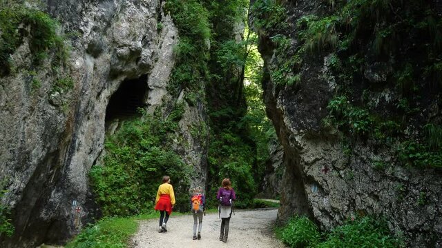 active family hiking by the Prapastiile Zarnestiului canyon, Piatra Craiului National Park, Romania

