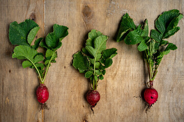 Fresh vegetables in composition on old wooden background