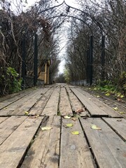 bench in the park