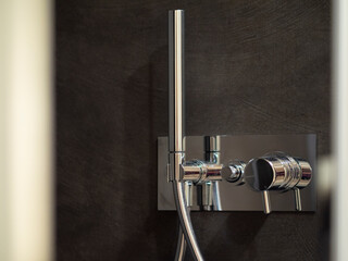 chrome shower faucet apartment renovation