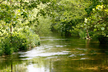 Fototapeta na wymiar River Kennet, Berkshire, UK.