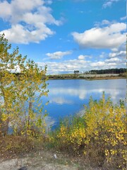 Fototapeta premium lake in the forest