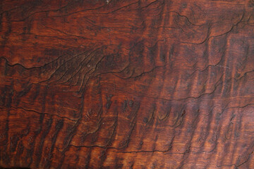 Brown Wood Texture. Bark pattern background.