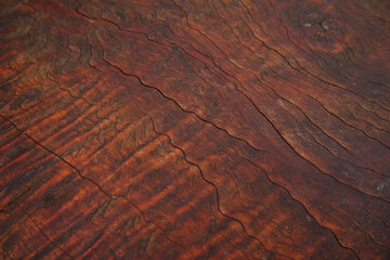 Brown Wood Texture. Bark pattern background.