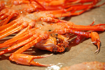 ベニズワイガニ