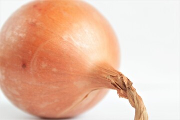 onion vegetable on white table single