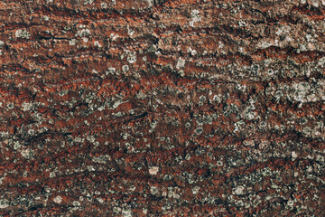 Dark wooden texture or background.