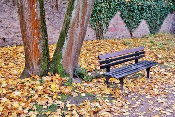 Einsame Bank im herbstlichen Park