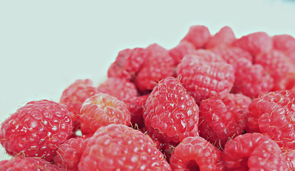Ripe red berries raspberries close up on white background as natural botanical wallpaper texture...