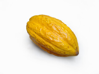 cocoa fruit isolated white background