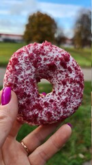 hand holding a donut